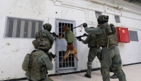 الجيش الاسرائيلي يعتقل فلسطينيين بزعم إطلاقهما النار قرب جنين
