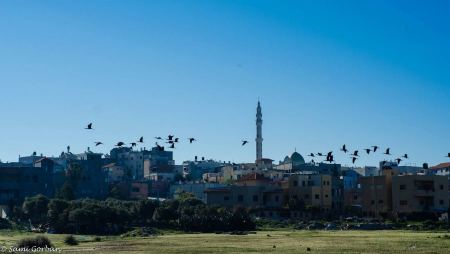 طرح أدوات جديدة للتجديد الحضري في البلدات العربية