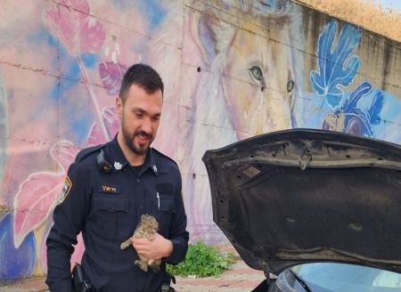 الشرطة : انقاذ قطة علقت بمحرك مركبة بمنطقة أبو سنان وكفر ياسيف