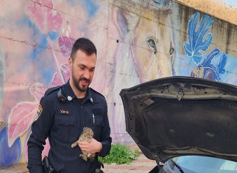 الشرطة : انقاذ قطة علقت بمحرك مركبة بمنطقة أبو سنان وكفر ياسيف