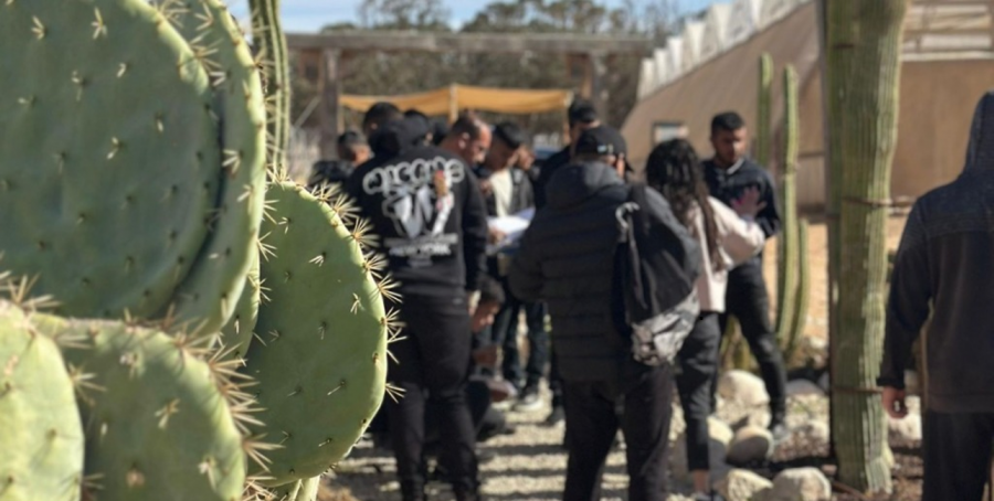 جولات تعليمية لطلاب البيئة بمدرسة أورط بئر هدّاج لاستكشاف الطبيعة الصحراوية