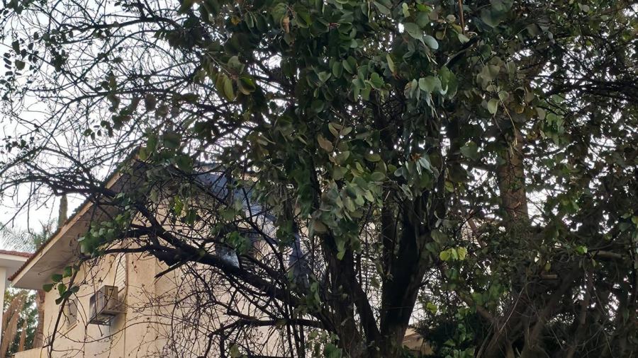 تصعيد إقليمي: قصف متبادل وأضرار مادية داخل إيران