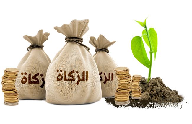 هل تجب الزّكاة في عمارات الإيجار وسيارات الأجرة وشاحنات النّقل ؟
