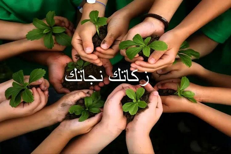 الزكاة 
