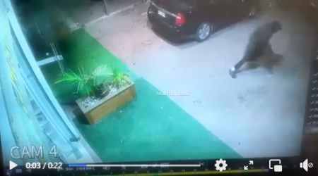 رهط: إلقاء قنبلة صوت داخل مقهى 