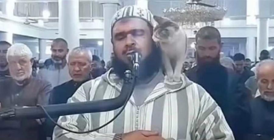 فيديو الإمام الجزائري والقطة يثير إعجاب وسائل إعلام عالمية