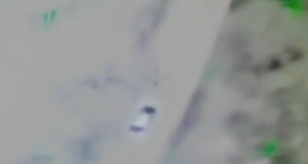 حدث في غزة : قتلوا 4 ضباط وحاولوا خطف أحدهم 