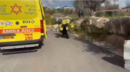  ضحيتان في جريمة قتل مزدوجة ببلدة يركا وإصابة مسن في الناصرة