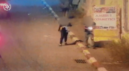 فيديو : الجيش الاسرائيلي يعتقل مشتبهين من بيت لحم