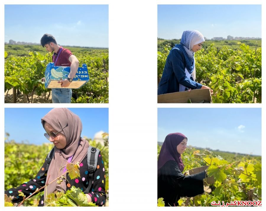 فريق مؤسسة أهداف جامعة فلسطين يزور الأراضي الزراعية
