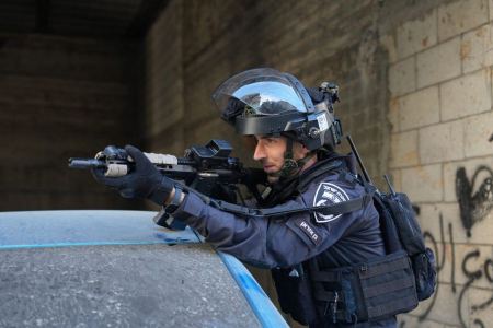 معتقلين بجرائم جنائية في : الطيبة والقدس والجديدة المكر وجت المثلث ودالية الكرمل ويافا