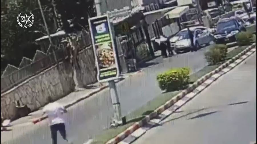 فيديو : يركا كلب يهاجم طفلًا ويصيبه بجراح خطيرة