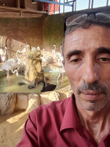 ثقافة حديقة السوسنة السوداء