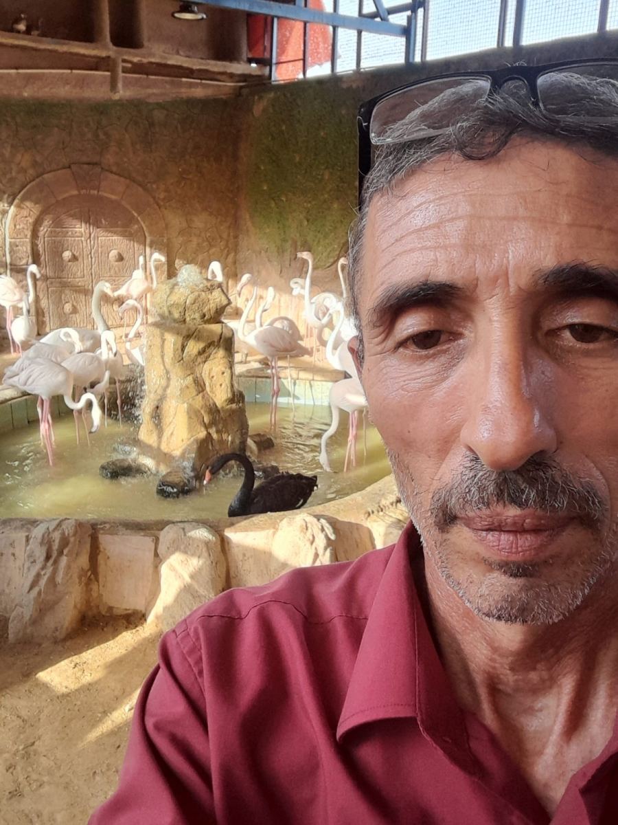 ثقافة حديقة السوسنة السوداء