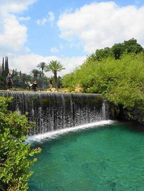  السخنه واصابة شاب من دبوريه بالغة الخطوره
