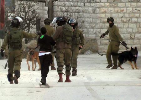 مقاطع فيديو توثق الظلم الواقع على الاطفال في فلسطين