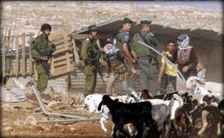 مستوطنين ارهابيين هاجموا فتاة فلسطينية من احدى التجمعات البدوية قرب رام الله 