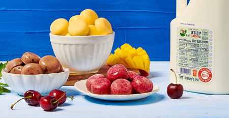 كرات اليوغورت المجمّدة بطعم الشوكولاطة والفواكه - YOGU FREEZE