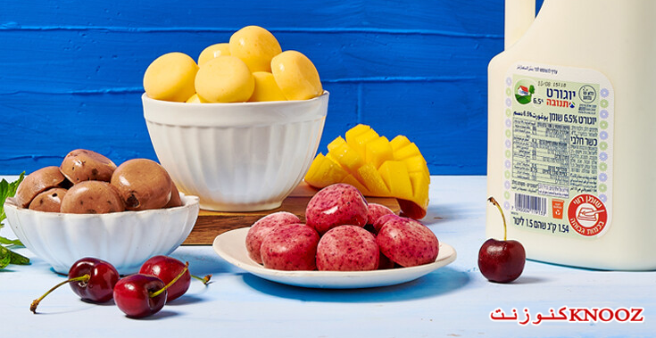 كرات اليوغورت المجمّدة بطعم الشوكولاطة والفواكه - YOGU FREEZE