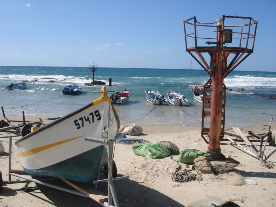 منظمة الصيد البحري؛ إلغاء الضريبة على الاستيراد قرار تعسفي واحتكار لسوق الأسماك