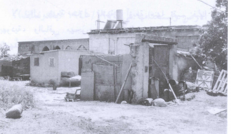 قرية المغار المهجرة- قضاء الرملة