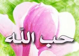 قصيدة الشاعر كمال ابراهيم " حب الله "