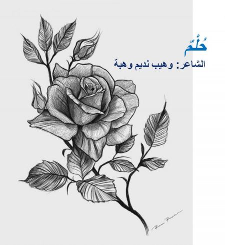 حُلْمٌ | الشاعر: وهيب نديم وهبة