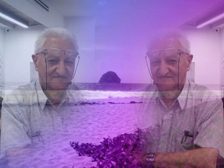 الشِّعرُ يحلو صامدًا 