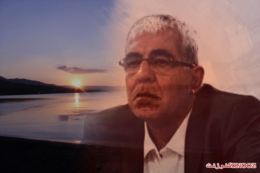 قصيدة