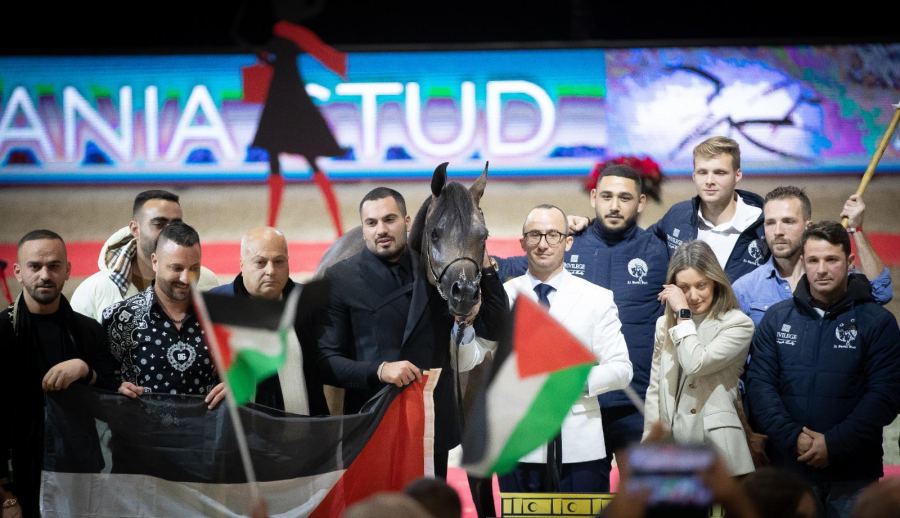 النصراوي محمد الشيخ سليمان يحصد بطولة العالم لجمال الخيول للمرة الرابعة