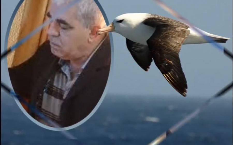 قصيدة : 