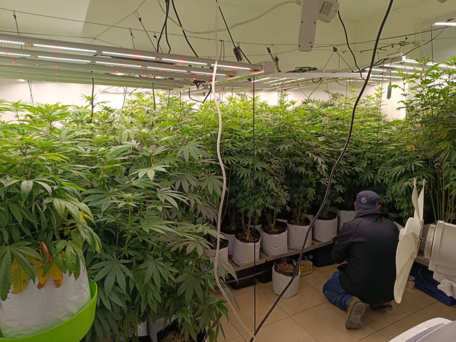 اعتقالات في اللد والرملة والقدس وطمرة والاردن وكفرقرع ويافا والمثلث والمغار